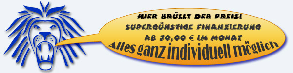 individuelle Finanzierung des Führerscheins